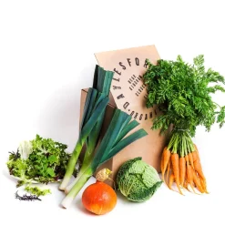 Market Garden Vegetable Box>Daylesford Organic Outlet